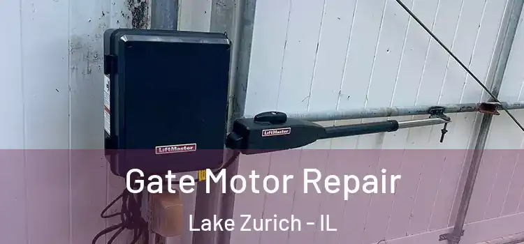 Gate Motor Repair Lake Zurich - IL