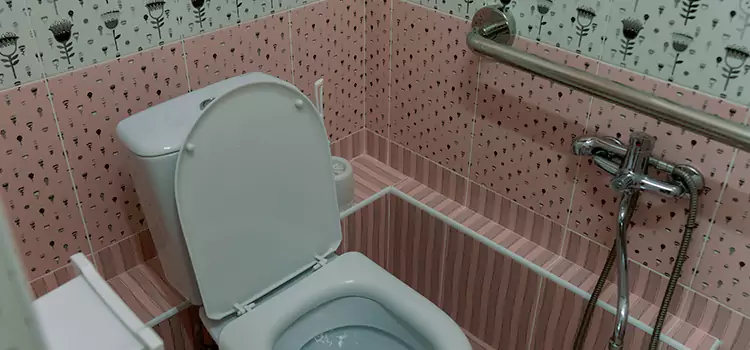 Meeting Diverse Needs With Accessible Restroom Solutions in Lake Zurich, IL